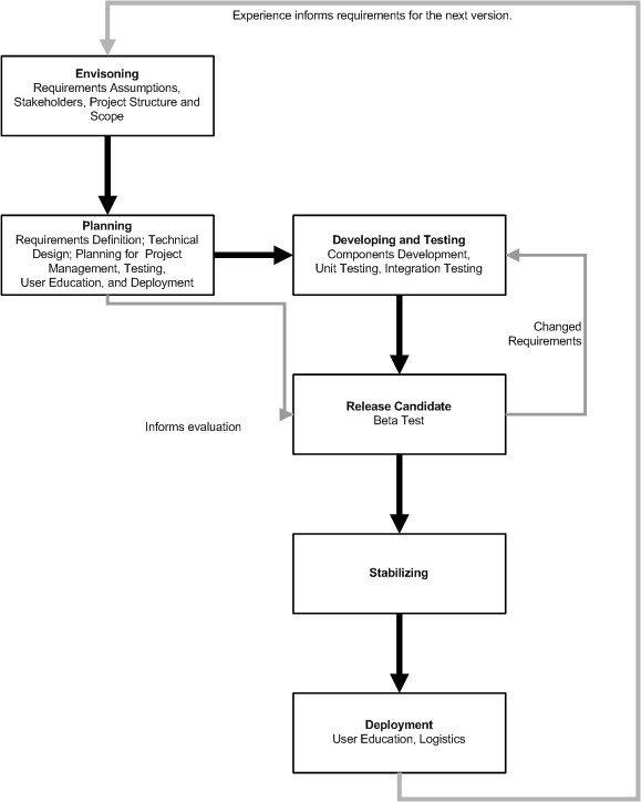 custom_software_life_cycle